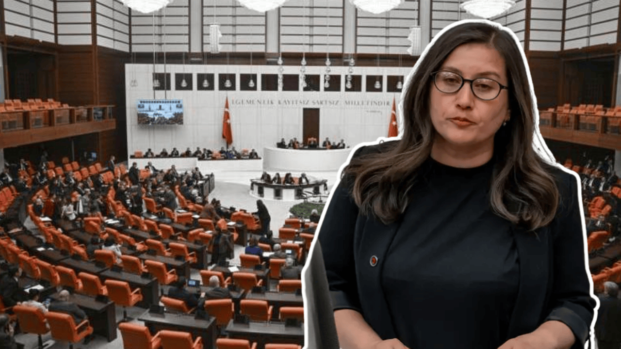 TBMM'de Kürtçe küfür tartışması, Burcugül Çubuk TBMM'de ne dedi?